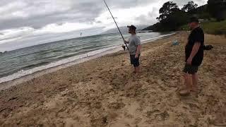 [Fish Eat Repeat Live] Success!! Aeroo Pro Drone Fishing Coromandel Fishing Comp Day 1