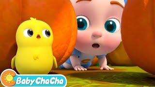 Little Chick Search Song | Little Chick, Where Are You? | Baby ChaCha Nursery Rhymes & Kids Songs