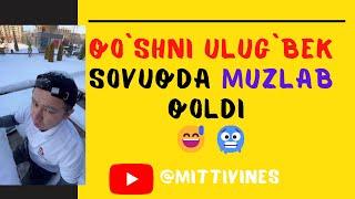 Mittivine | Qo`shni ULUG`BEK sovuqda muzlab qoldi 