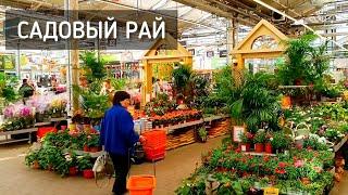 Садовый рай. Дачный сезон. OBI в Мега Белая Дача / Summer season. Garden paradise #москва #сад #дача