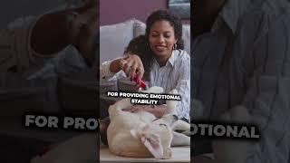 Top Emotional Support Dogs: Discover the Breeds That Heal Hearts!  #shorts