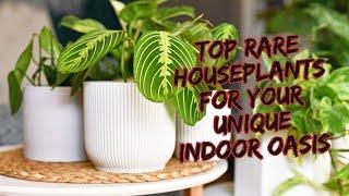 Top 10 Rare Houseplants indoor | Easy Uncommon Unique Houseplants That You Will Love