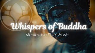 Path of Serenity 》Relaxing Flute Music for Meditation and Inner Peace 》Buddha's Flute