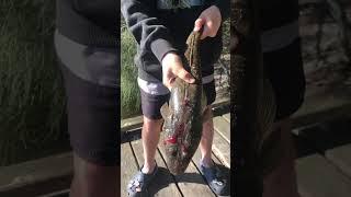 #nsw #southcoast #fishing #fishingaustralia #southcoastnsw #