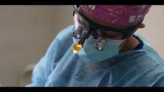 The Drs. Vincent