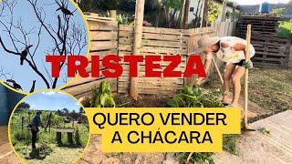 DURANTE A LIMPEZA FIQUEI CHATEADA | QUERO VENDER  A CHÁCARA #roça #vidasimples #Morarnaroça #limpeza