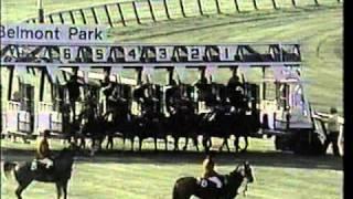 John Henry - 1984 Turf Classic