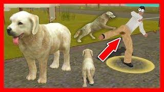 СИМУЛЯТОР СОБАКИ #1 ОХОТИЛИСЬ ЛЮДИ приключение ЩЕНКА в Dog Sim