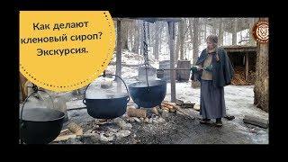 Как делают кленовый  сироп? Канада. Экскурсия.