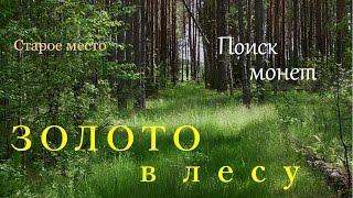 ЗОЛОТО в лесу.Поиск монет