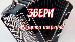 Звери - Напитки покрепче (кавер на баяне )