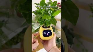 I’m a plant parent! 🪴                  #plants #planter #plantlover #plantcare #houseplants