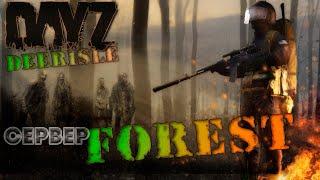 Dayz 1.15. Первый взгляд на сервер FOREST ZONE PVE Deerisle.