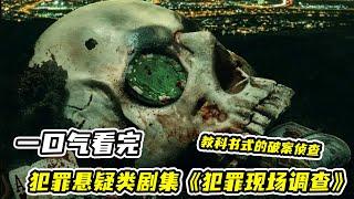 【一口氣看完】《犯罪現場調查》，河底藏屍？鯊魚肚子裏竟然隱藏殘肢？！