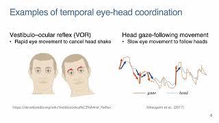 [GAZE 2022] Dynamic 3D Gaze from Afar: Deep Gaze Estimation from Temporal Eye-Head-Body Coordination