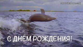 Поздравление с Днем Рождения №2! ВИДЕО НА ЗАКАЗ!