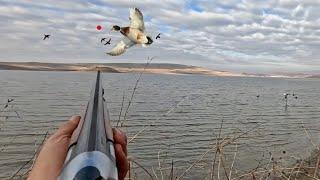 ÖRDEK AVI (SÜRÜ SÜRÜ ÖRDEK GELDİ) 2024 SHOTKAM İLE EŞSİZ GÖRÜNTÜLER duck hunting охота на уток