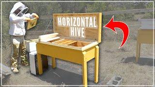 COULD THIS BE THE BEST BEE HIVE EVER?!?