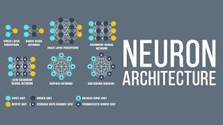 8  The Neuron