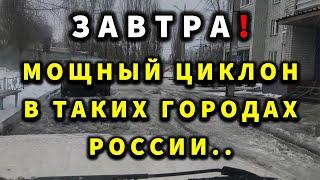 Прогноз погоды в России 19 НОЯБРЯ - погода на завтра