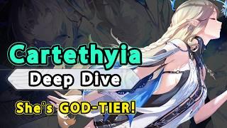 The PINNACLE of DPS: A Comprehensive Cartethyia Guide【Wuthering Waves】