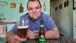 Degustação da cerveja Eisenabhn Pale Ale #eisenbahn #paleale #beer #cerveja