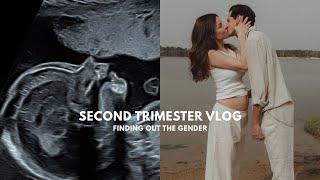 Mein Zweites Trimester / Symptome, Baby's Geschlecht, Kinderwagen - Vlog