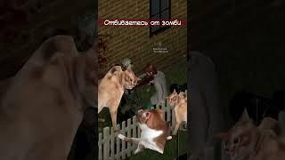 POV : ТИПИЧНОЕ ВЫЖИВАНИЕ В / / #Project_zomboid