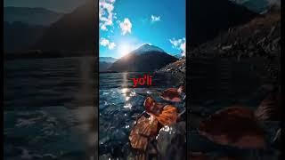 Noumid bo'lmang | Noumidlik 