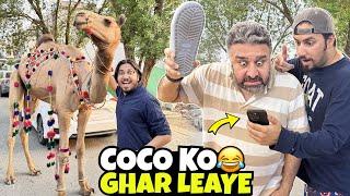Ducky Bhai Ka CoCo  Ghar Le Aya | Papa Gussa Ho Gaye 