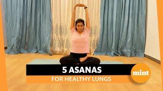 5 Basic Yoga Asanas For Healthy Lungs