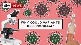 COVID-19: What is a variant?