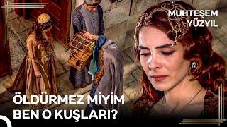 Hasetinden Çatlayan Bir Mahidevran | Muhteşem Yüzyıl 17. Bölüm