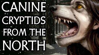 Dogman and Loup-Garou: Creepy Canines in Canadian Folklore [2 Hour Cryptozoology Documentary]