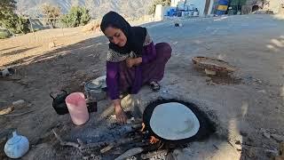 A Day in the Life of the Karoon Tribal Family: Harvesting Wild Pistachios in the Forest