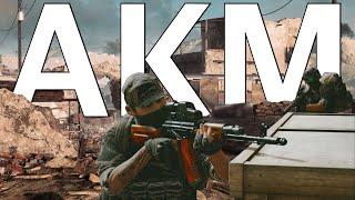 The AKM is a BEAST | Insurgency Sandstorm