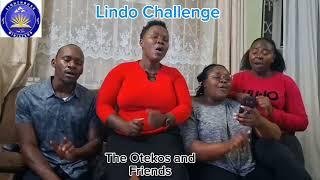 LINDO challenge by The otekos and friends//LHM@2024.