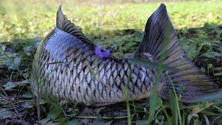 Amazing Boy Finding alot Catching fish Underground in hole Dry Season.