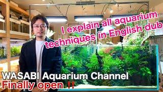 AQUASHOP wasabi 「The announcement of the opening WASABI aquarium channel（English version）」
