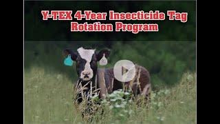 Y-TEX 4-Year Insecticide Tag Rotation Program | Vet-Advantage Soundbyte