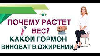 ️ПОЧЕМУ РАСТЕТ ВЕС? КАКОЙ ГОРМОН ВИНОВАТ В ОЖИРЕНИИ? Врач эндокринолог, диетолог Ольга Павлова.