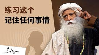 如何真正提高你的脑力和记忆力？| Sadhguru 萨古鲁