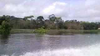 Belezas Naturais no Amazonas