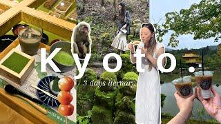 Best things to do in Kyoto Japan 2024 | 3 days Itinerary