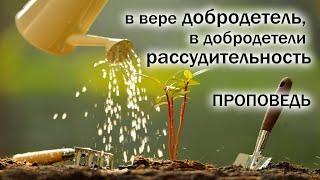 В вере добродетель, в добродетели рассудительность - Сергей Олегович Габов,  Христианская Проповедь