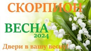 СКОРПИОН  ВЕСНА 2024 таро прогноз/гороскоп на март 2024/ апрель 2024/ май 2024/ расклад “Двери”