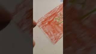 Flags I drew [PART 1]
