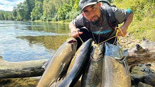 Increibles Peleas Con Monstruos De Río , Pesca Y Cocina De Salmon