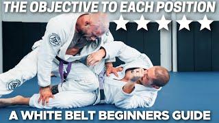 WHITE BELT POSITIONAL GUIDE || a must watch for newbies