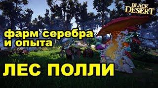  Лес Полли (160 AP+) - Фарм серебра 50-60кк в час в Black Desert (MMORPG-ИГРЫ)